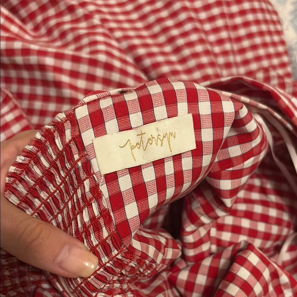 Petersyn Red Gingham Mini Dress - Picture 3 of 3